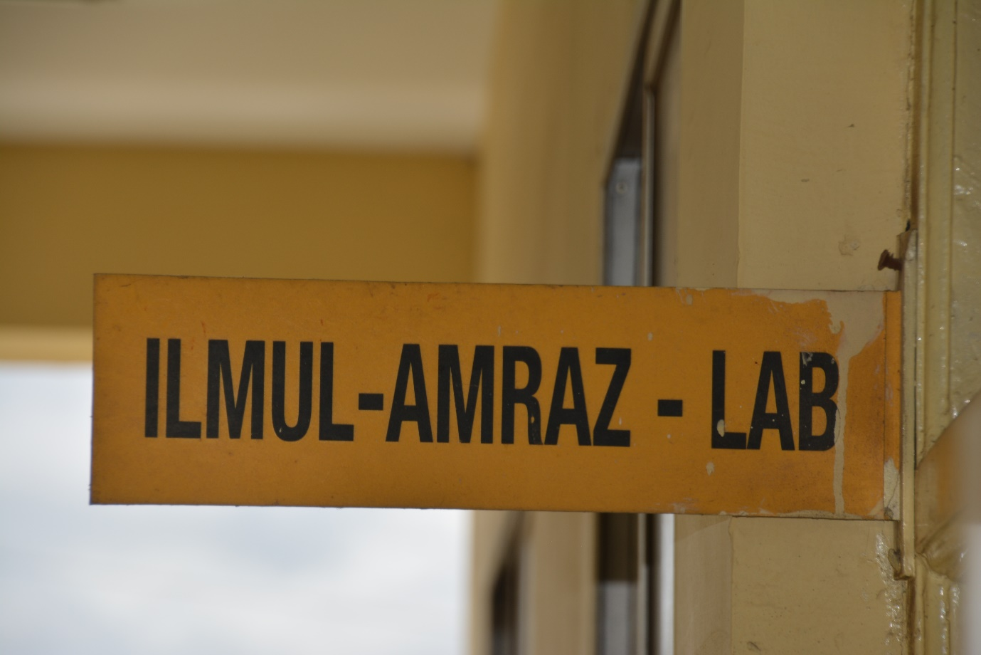 ilmul amraz lab